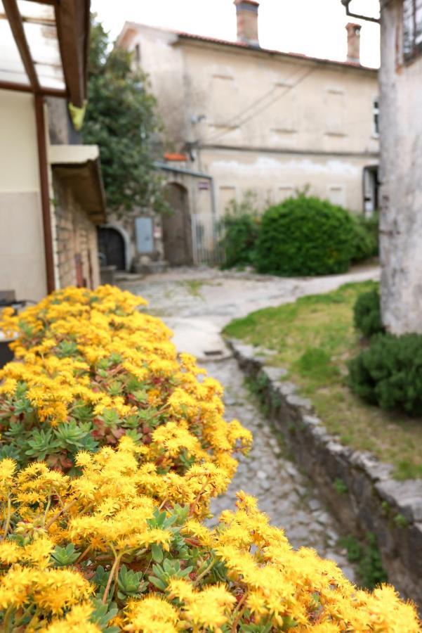 Apartmani Nad Voltun كاستاف المظهر الخارجي الصورة
